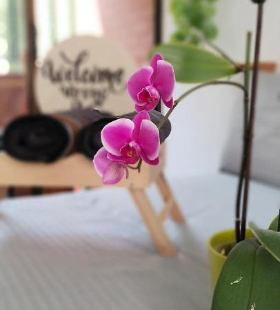 Moradia Laureles Medellin 아파트 외부 사진